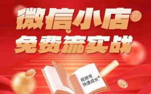 微信小店免费流实战，有货源无货源双模式，从开店到爆单全实操课，小白也能月入1W+-湘创网