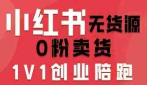 小红书无货源0粉电商课，开店准备、选品策略、笔记撰写、视频剪辑、数据分析、账号打造、资料文档（更新26年6月22日）-湘创网