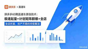 (18921期)拼多多60期直通车原创技术:极速起量+计划矩阵群爆+全店托管,投产不稳的终极解法-湘创网