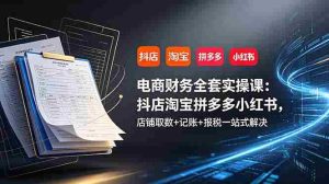 （19001期）电商财务全套实操课：抖店淘宝拼多多小红书，店铺取数+记账+报税一站式解决-湘创网