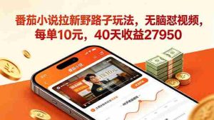 （18751期）番茄小说拉新野路子玩法，无脑怼视频，每单10元，40天收益27950-湘创网